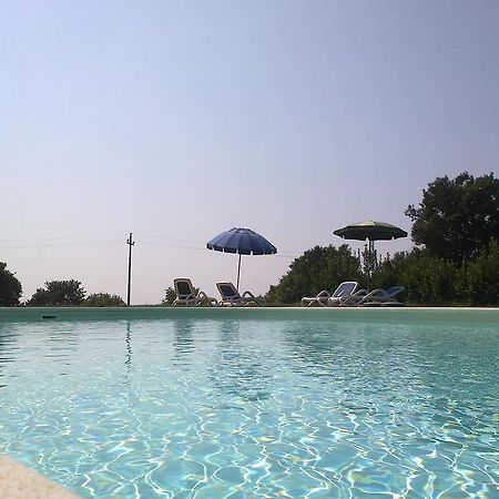 Agriturismo Monte Dell'Olmo 트레비나노로마노 외부 사진